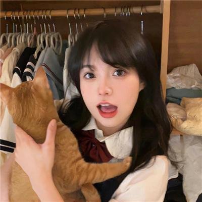 美女来了在线观看封面