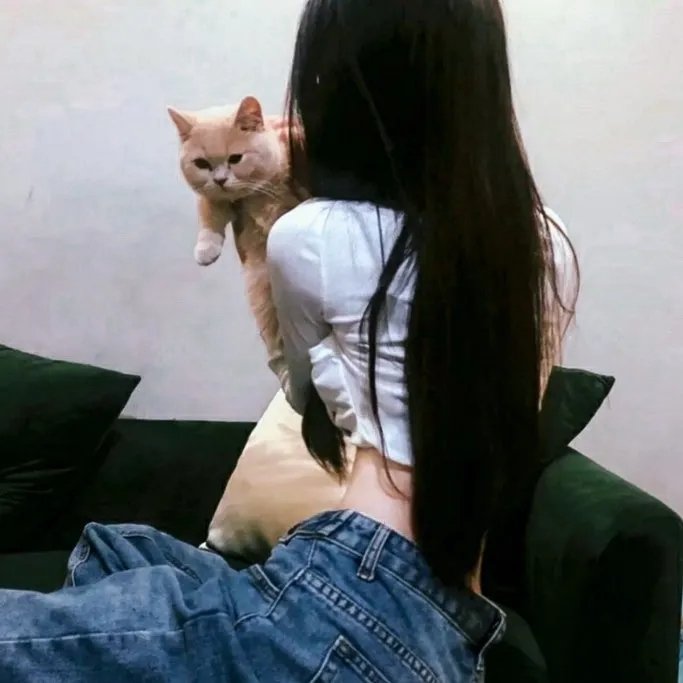 投靠女与出走男在线观看封面